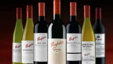 treasury wine share price