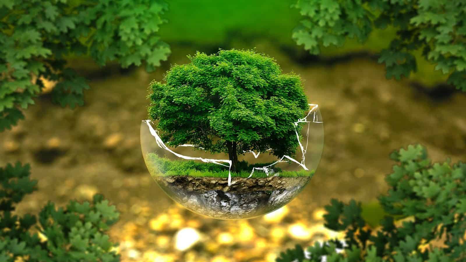 environmental protection