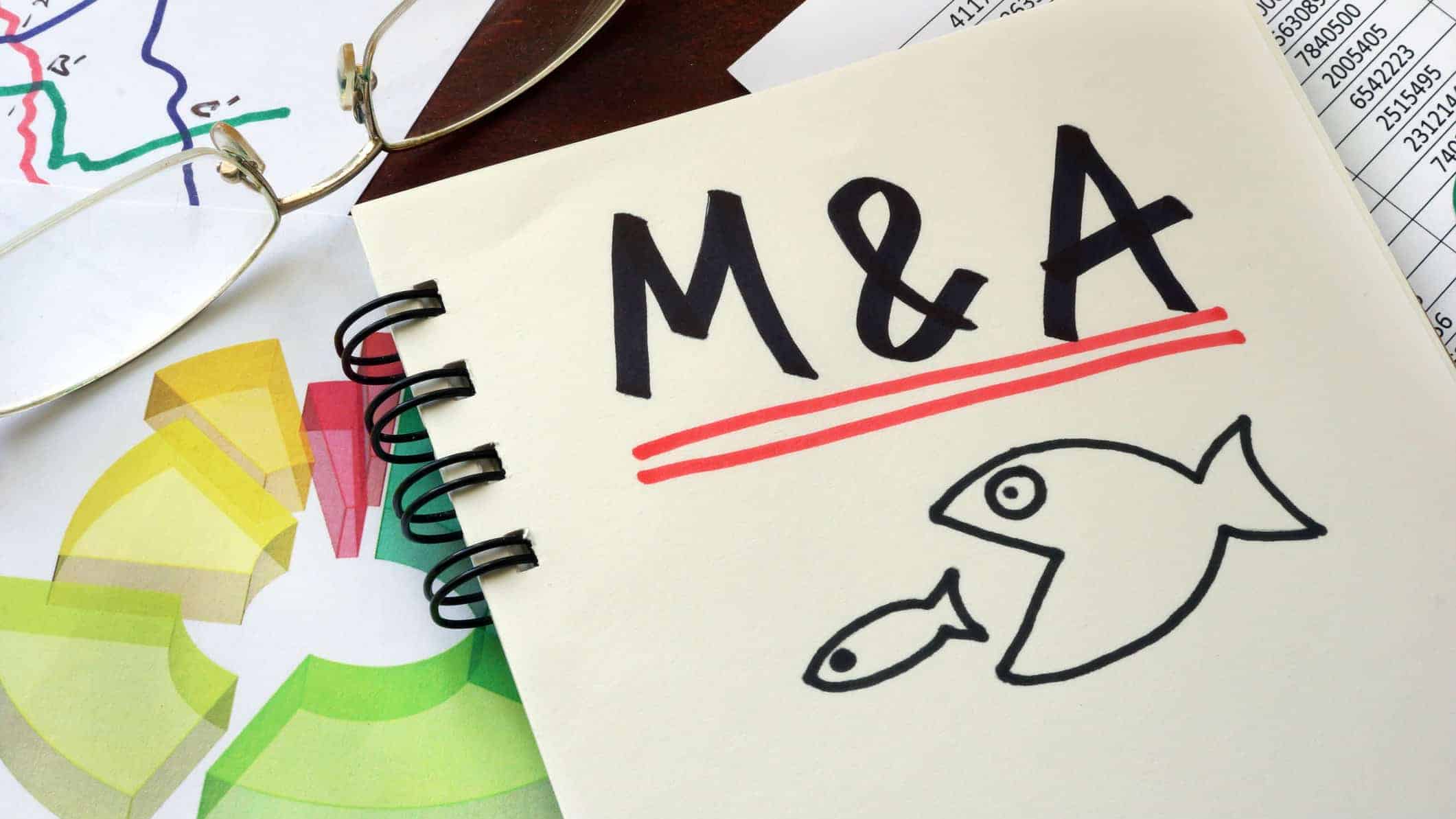 Aussie Broadband share price takeover M&A takeover