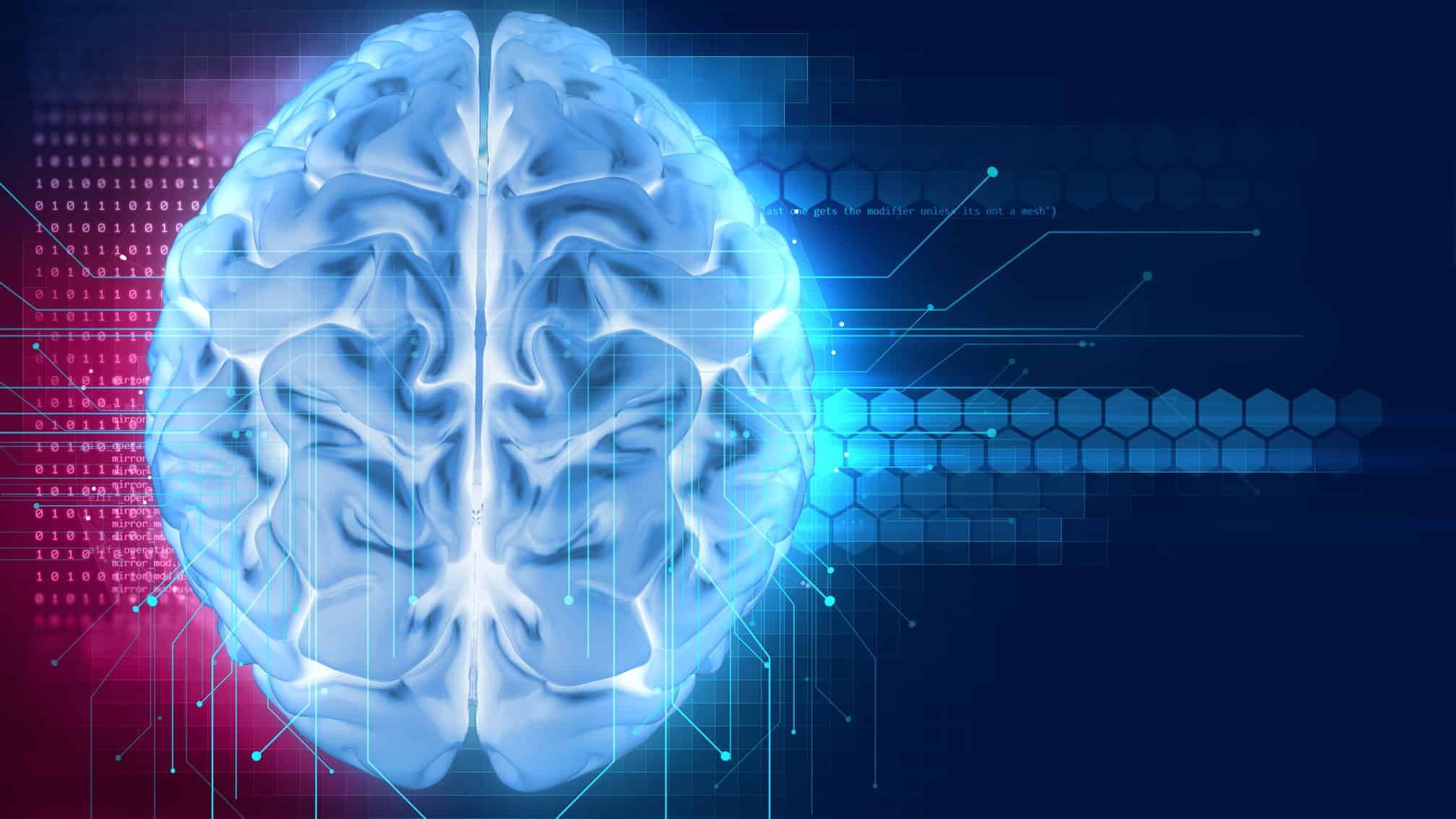 3D render human brain