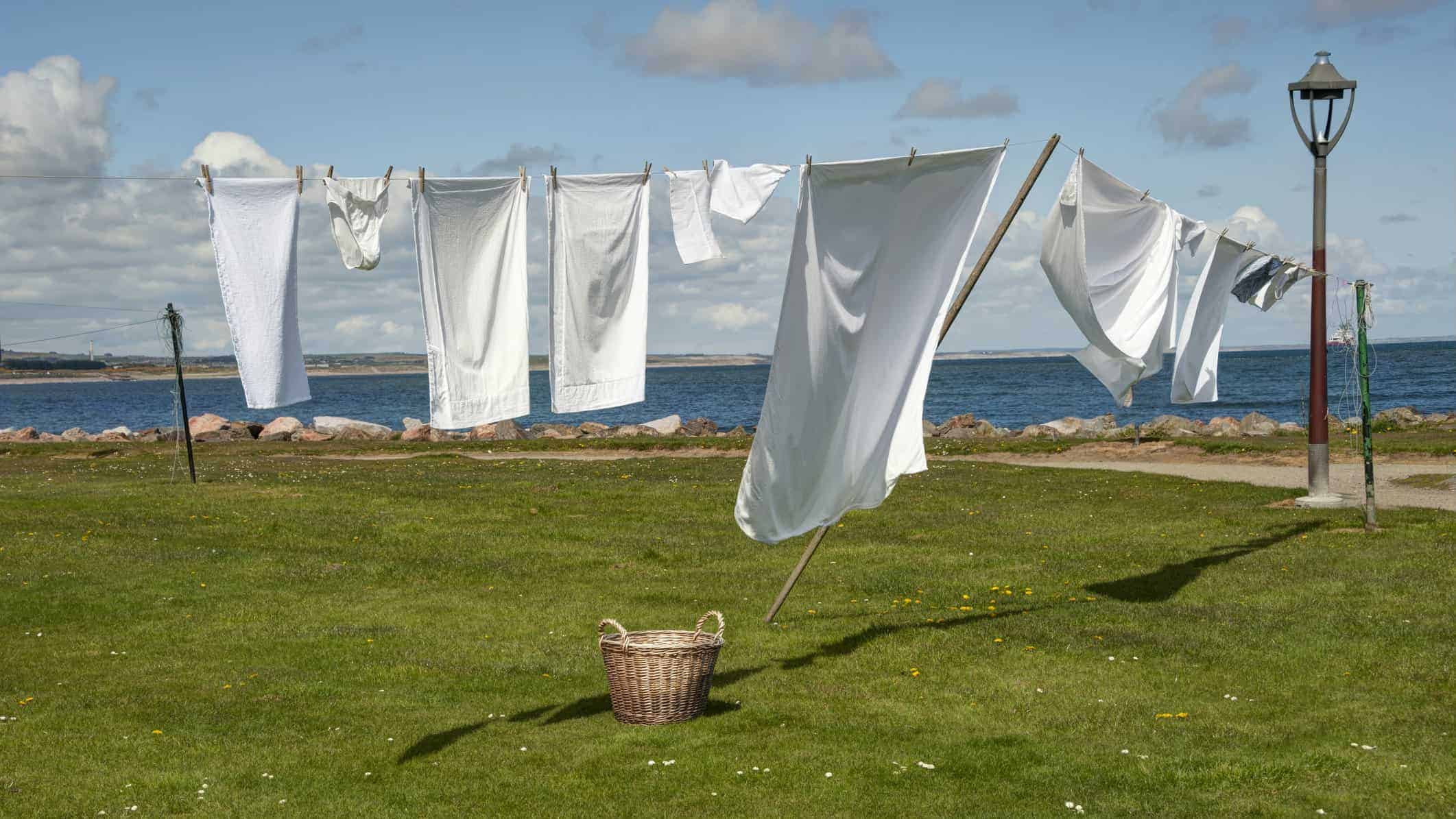 laundry, lined, washing, cleaning, commercial