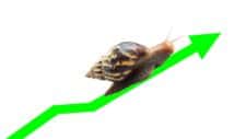 slow growth in asx share price represented by snail climbing green arrow