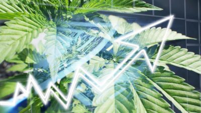 marijuana leaf with upward facing arrow