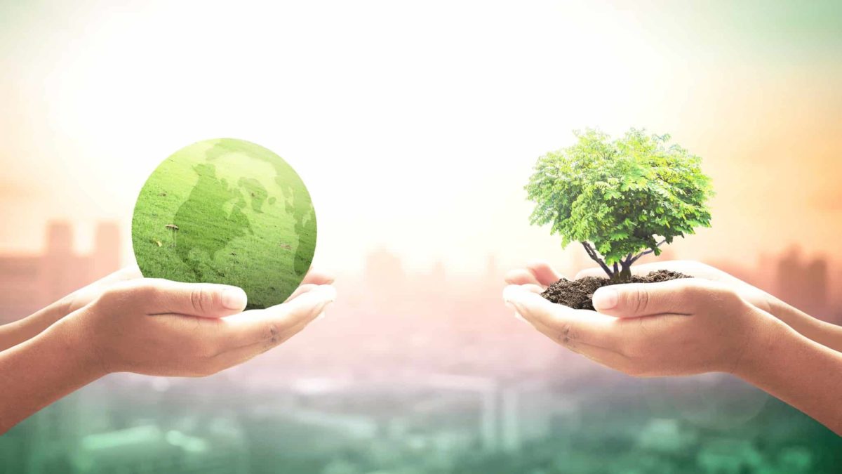 Two outstretched hands holding a green globe and a tree to symbolise ethical investing