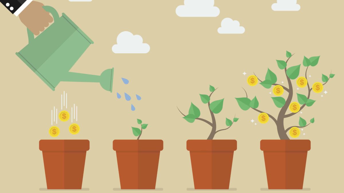 long term growth shares, plants in pots growing over time