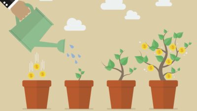 long term growth shares, plants in pots growing over time