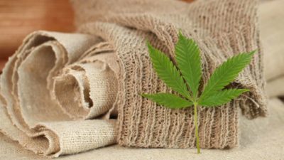 hemp leaf sitting on hemp materials