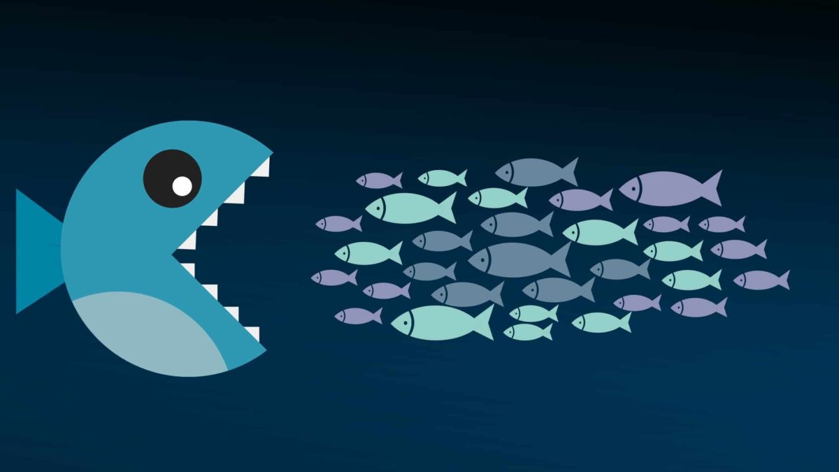 big fish eating smaller fish ASX shares M&A 2021