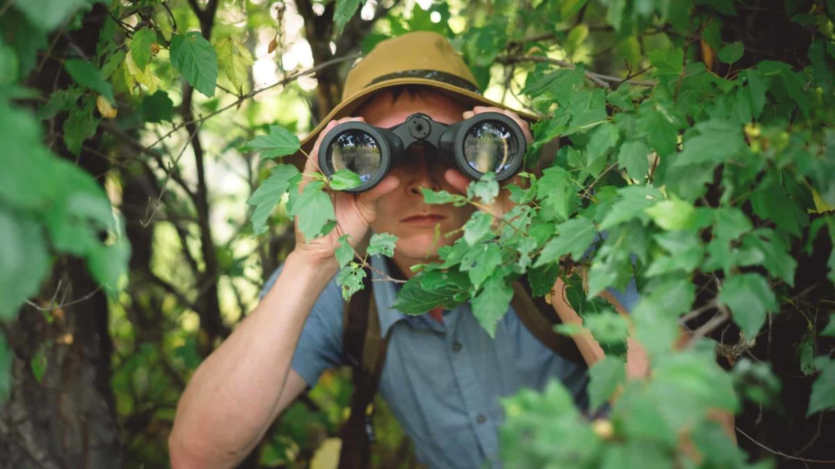 A man with binoculars crouched in the bush, indication a share price on watch