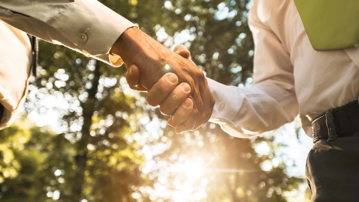 A business handshake with a forest backdrop, indicating a share price rise or deal between clean, green companies.