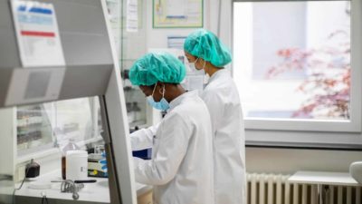 Two lab technicians carrying out clinical trials