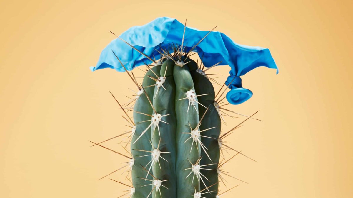 A sharp cactus beneath a deflated balloon, indicating the fight against inflation.