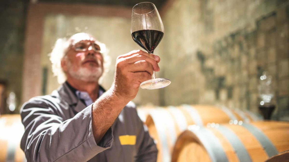 a wine technician in overalls holds a glass of red wine up to the light and studies is closely with large wine barrels in the background, stored in a brick walled wine cellar.