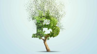 A tree in the shape of the Bitcoin symbol with leaves flying off the top, indicating ESG impacts of crypto mining