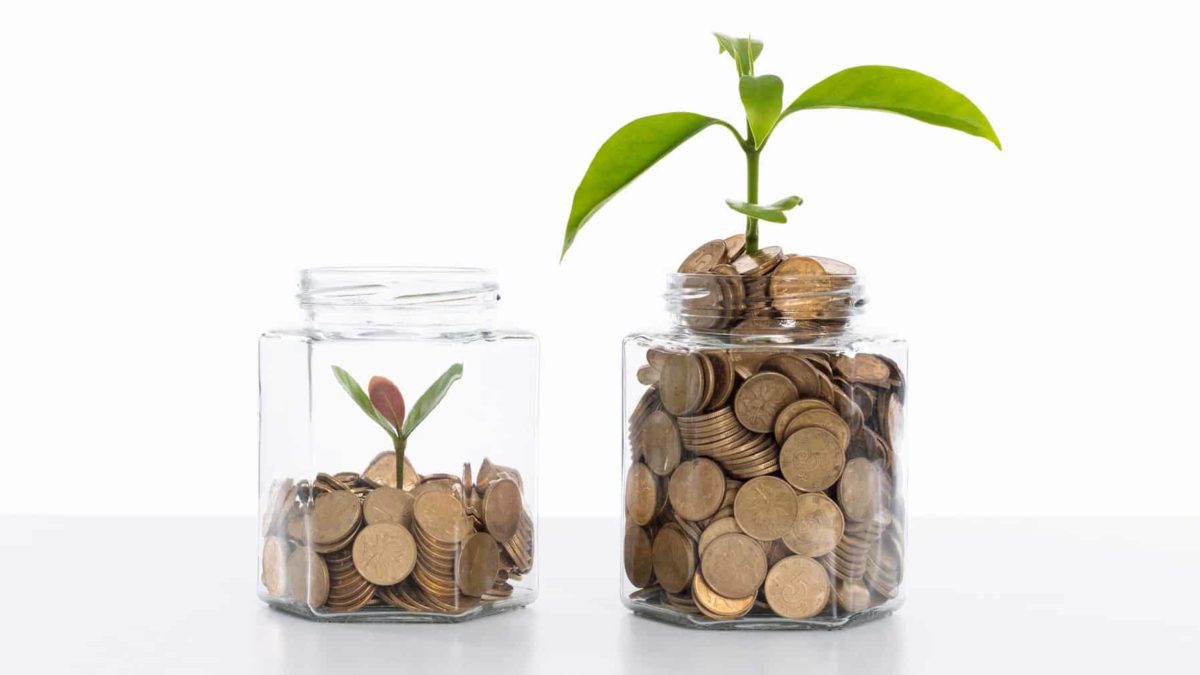 Two plants grow in jars filled with coins.